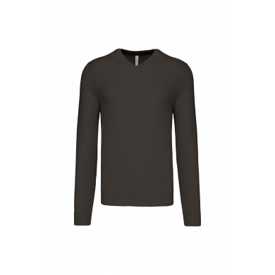 Pull col V homme | Sanipod